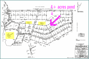 mat-su valleyland for sale, kutna creek land for sale, skwentna land for sale