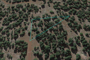 california pines land for sale