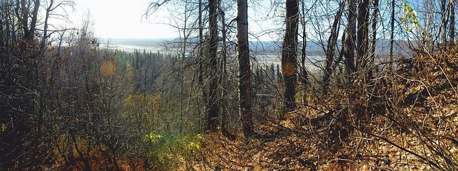 resort development, alaska land for sale