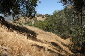 lot for sale la