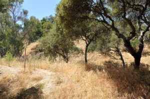 tujunga lot for sale